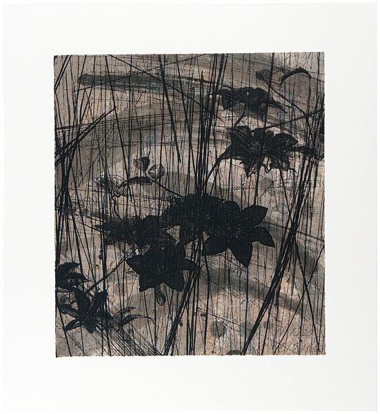 Kinoshita Keisuke “Clematis”