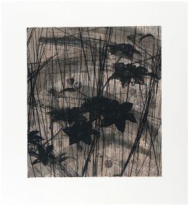 Kinoshita Keisuke / Clematis