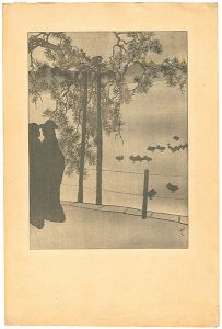 Yuki Somei / 池畔（仮題）