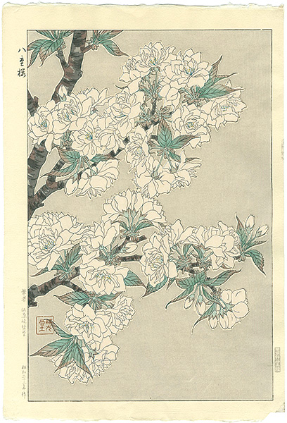 Kawarazaki Shodo “double cherry blossom”