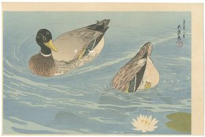 Hashiguchi Goyo / Ducks