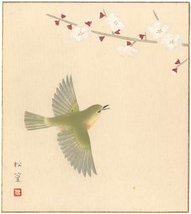 Uemura Shoko / Plum and Nightingale(tentative title)