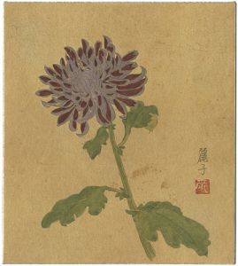 Kishida Reiko / 自筆画色紙　菊