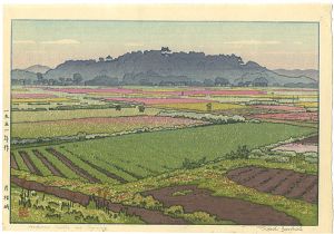 Yoshida Toshi / Hikone Castle
