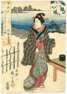 Hiroshige I / Famous Places in Edo Kameido [江戸名所五性　亀井戸の水]