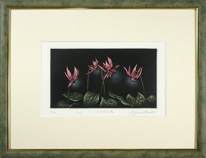 Ikuta Koji / Dogtooth violet