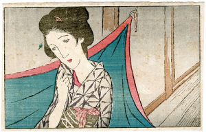 A Mosquito Net from the Magazine The Ladies' Graphic