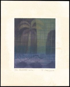Somekawa Shozo / PALMERA(noche)