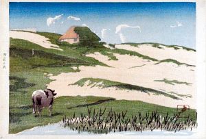 Tohari Kogan / Beach of Onjuku