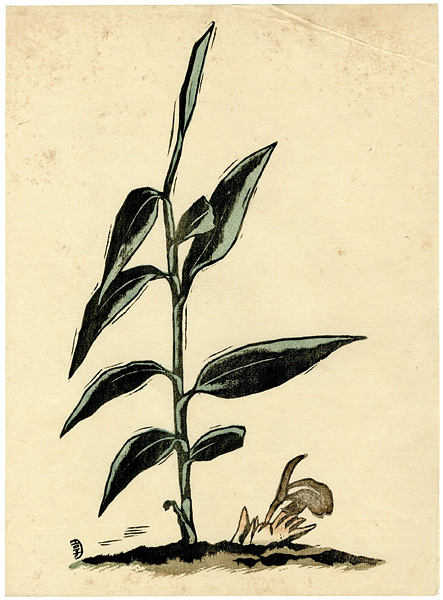 逸見享「茗荷」