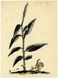 逸見享「茗荷」