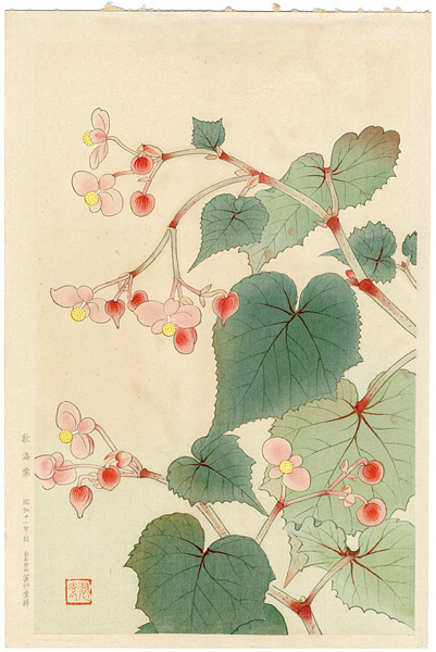 福田翠光「秋海棠」