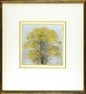Hoshi Joichi / Maple