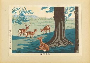 Asano Takeji / Famous Places of Nara / Nara Park