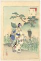 36 Elegant Selections - Iris /......