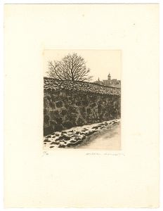 Kimura Shigeru / Avila