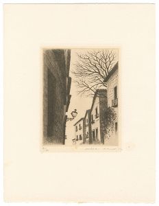 Kimura Shigeru / Segovia・B