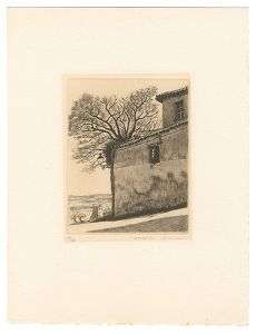 Kimura Shigeru / Segovia・C