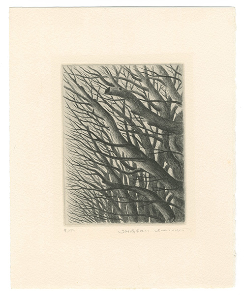 Kimura Shigeru “Art Work”