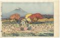 Ten Views of Fuji / Autumn