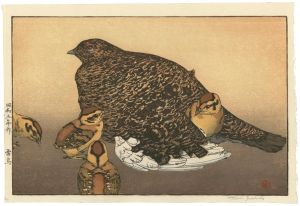 Yoshida Toshi / Raicho