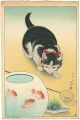 Cat and Bowl of Goldfish
