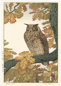 Yoshida Toshi / Eagle Owl