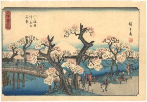 Hiroshige I / Snow, Moon, and Flowers at Famous Places /  Cherry Trees in Bloom on the Embankment at Koganei  [名所雪月花　小かね井つつみの花盛]