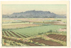 Yoshida Toshi / Hikone Castle in Spring