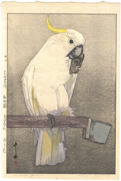 Yoshida Hiroshi “At the Zoological Garden / Sulphur-crested Cockatoo”
