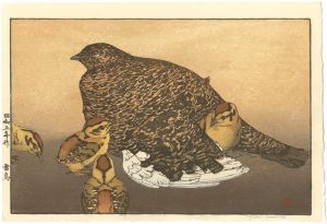 Yoshida Toshi / Raicho