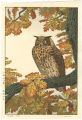 Eagle Owl
