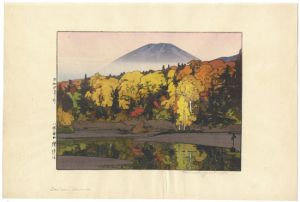 八甲田山　睡蓮沼