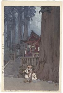 A Misty Day in Nikko