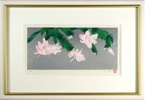 Nakajima Chinami / Christmas Cactus