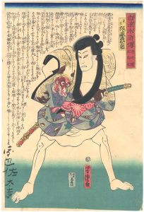 芳虎「白浪水滸伝　芝之羅弥志也　」