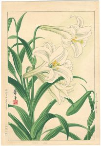 Nishimura Hodo /  Lily