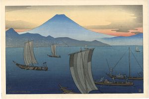 Mt.Fuji from The Pinery of Miho