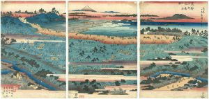Hiroshige I / Famous places in the Eastern Capital / Asukayama [東都名所飛鳥山全図]