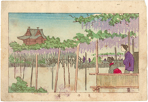 安治（探景）「東京真画名所図解　亀井戸藤」