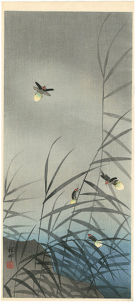 小原古邨（祥邨）「蛍」