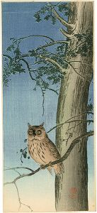 Ito Sozan / Horned Owl