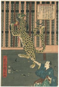 広景「口上 虎の見世物」