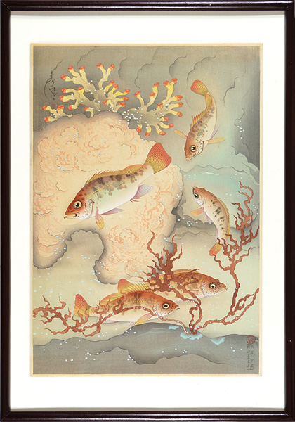 Ono Bakufu “Fish of Japan / Vol.1 No.7 The Mebaru (Rockfish)”