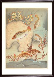 Ono Bakufu / Fish of Japan / Vol.1 No.7 The Mebaru (Rockfish)