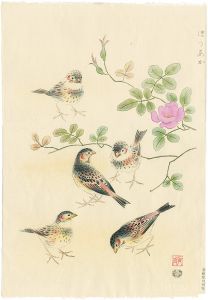 Ashikaga Shizuo / The Chestnut-eared bunting