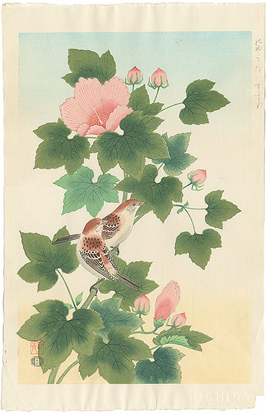Ashikaga Shizuo “The Russet Sparrow”