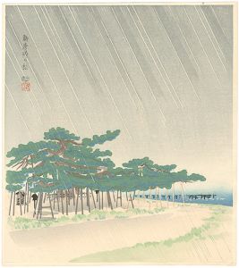 Pine Trees At Karanatsu