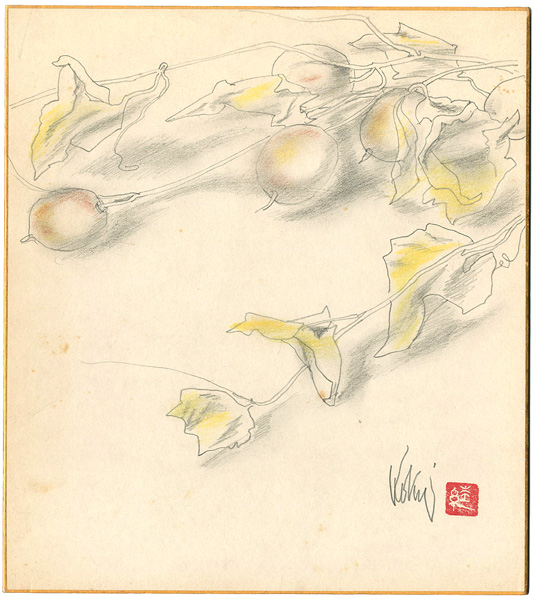 Kokuryo  Tsunerou “自筆画色紙　からすうり”