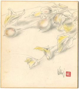 Kokuryo  Tsunerou / 自筆画色紙　からすうり